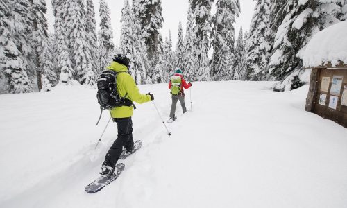 Snowshoeing